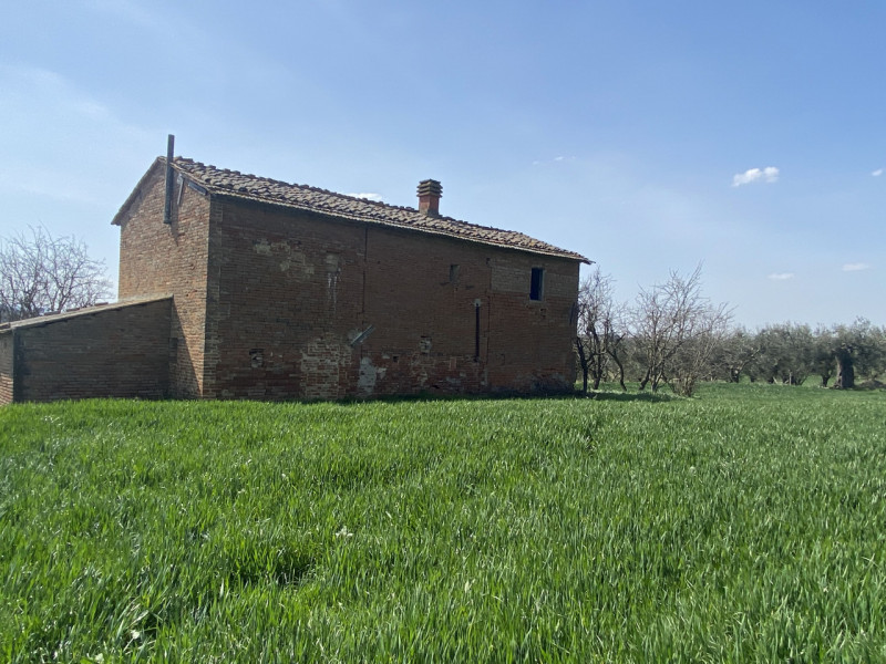 Immagine 18 di Rustico / casale in vendita  in casamaggiore a Castiglione Del Lago