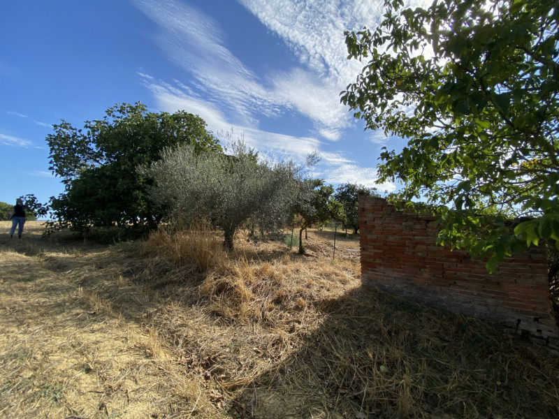 Immagine 20 di Rustico / casale in vendita  in casamaggiore a Castiglione Del Lago