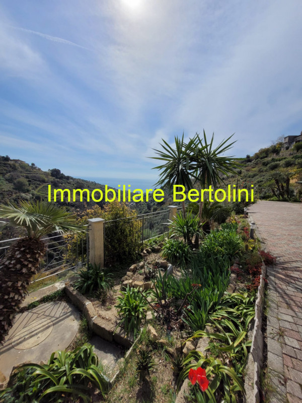 Immagine 27 di Villa in vendita  in via degli inglesi a Bordighera