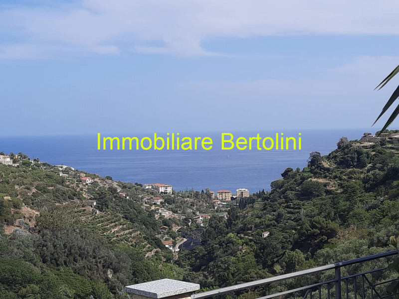 Immagine 45 di Villa in vendita  in via degli inglesi a Bordighera