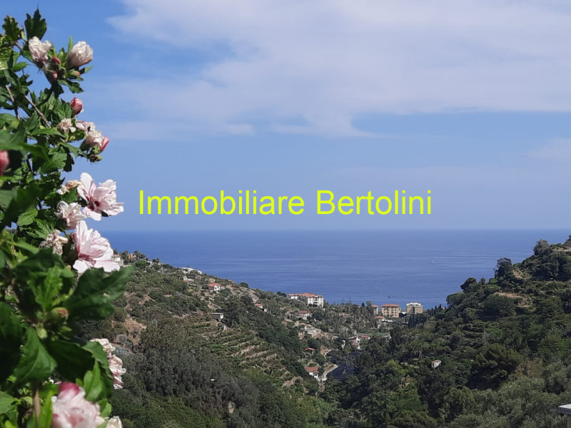 Immagine 53 di Villa in vendita  in via degli inglesi a Bordighera
