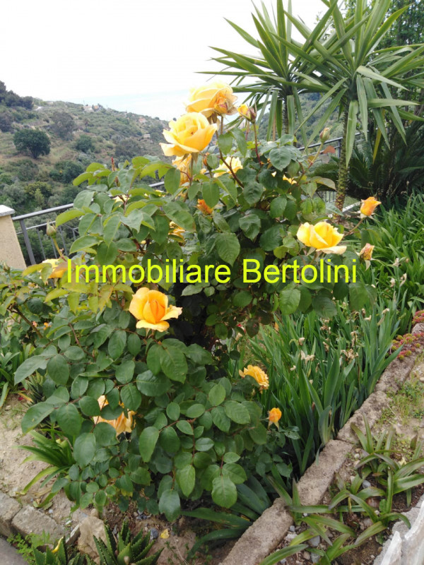 Immagine 59 di Villa in vendita  in via degli inglesi a Bordighera