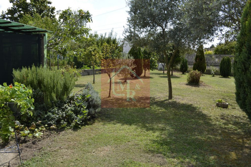 Foto annuncio 5