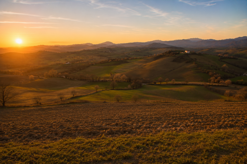 Foto annuncio 22