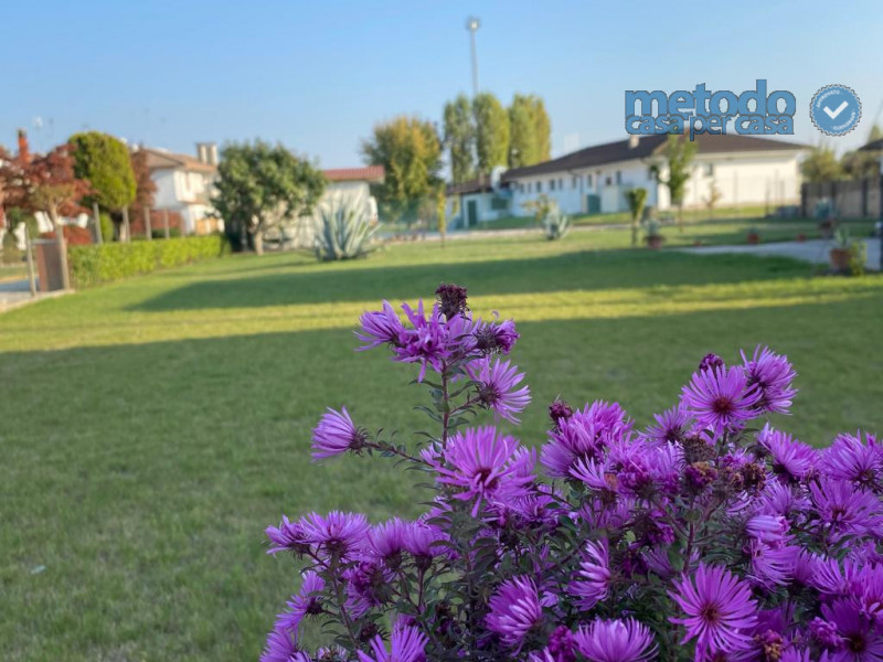 Immagine 1 di Terreno in vendita  a Villadose