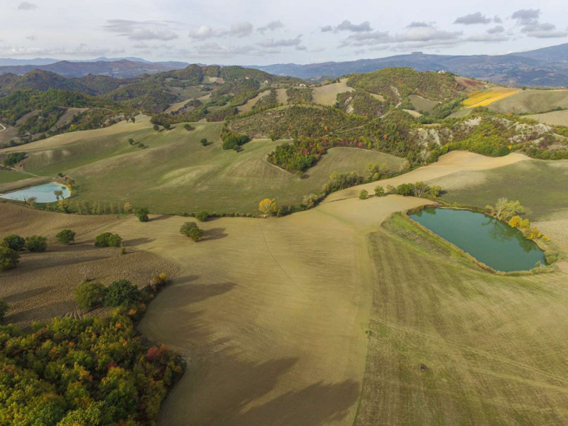 Immagine 8 di Terreno in vendita  in Località Ca' Straipo a Sant'angelo In Vado