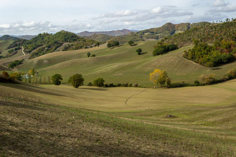 Immagine 16 di Terreno in vendita  in Località Ca' Straipo a Sant'angelo In Vado