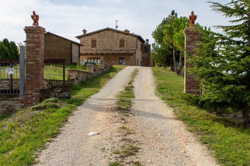 Immagine 17 di Terreno in vendita  in Località Ca' Straipo a Sant'angelo In Vado