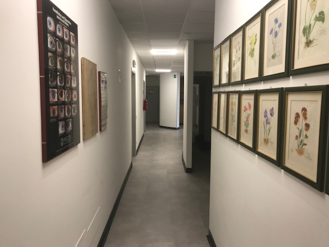 Immagine 9 di Ufficio in vendita  in GUIZZA PADOVA RIF 2309 a Albignasego