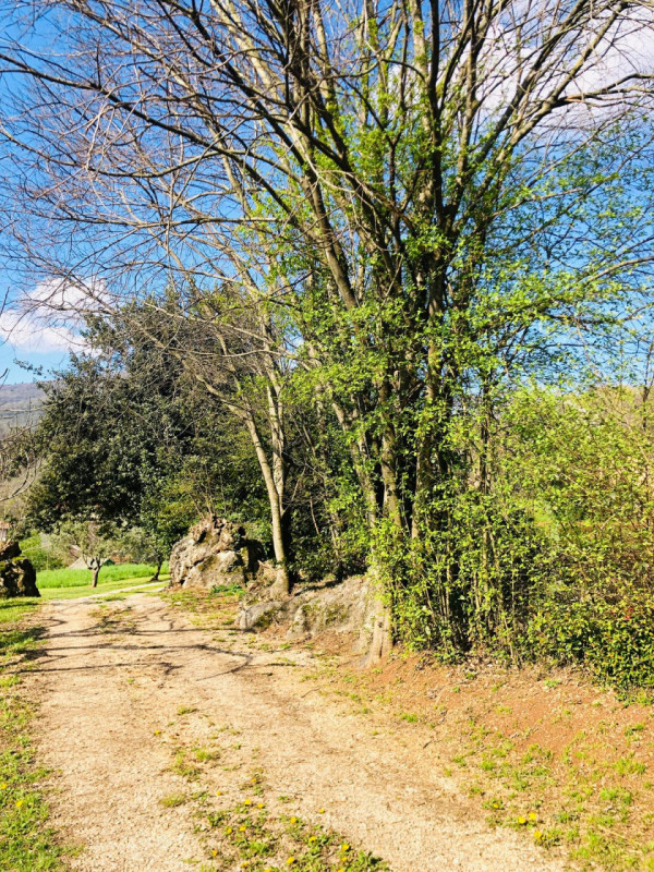 Immagine 2 di Terreno in vendita  a Gavardo