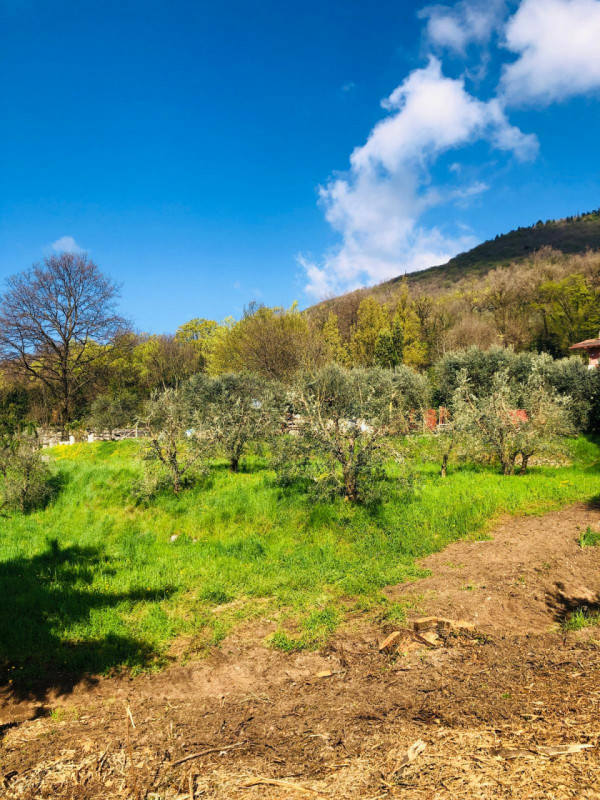 Immagine 4 di Terreno in vendita  a Gavardo