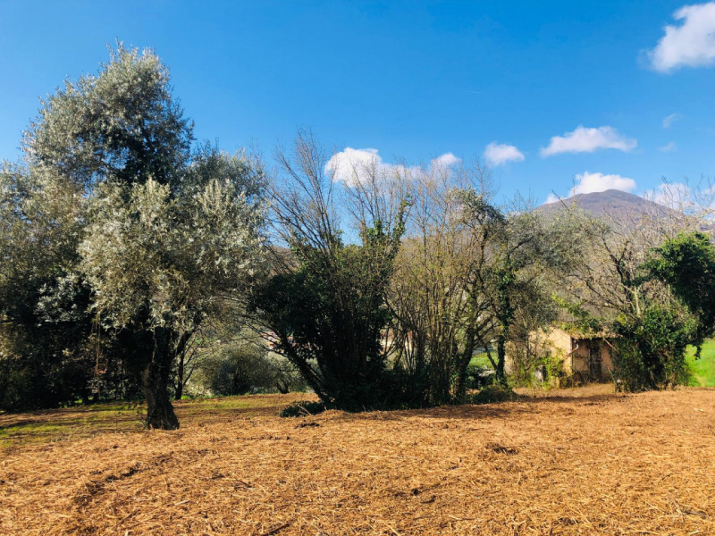 Immagine 5 di Terreno in vendita  a Gavardo