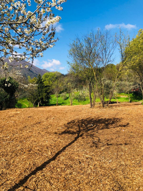Immagine 9 di Terreno in vendita  a Gavardo