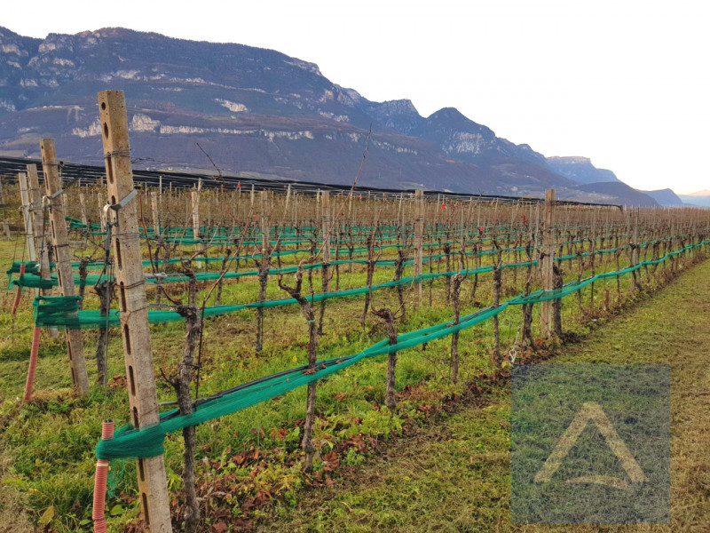 Immagine 1 di Terreno in vendita  a Egna .Neumarkt.