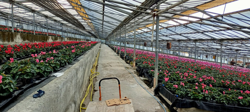 Immagine 1 di Terreno in vendita  in Via frantoi canai a San Remo