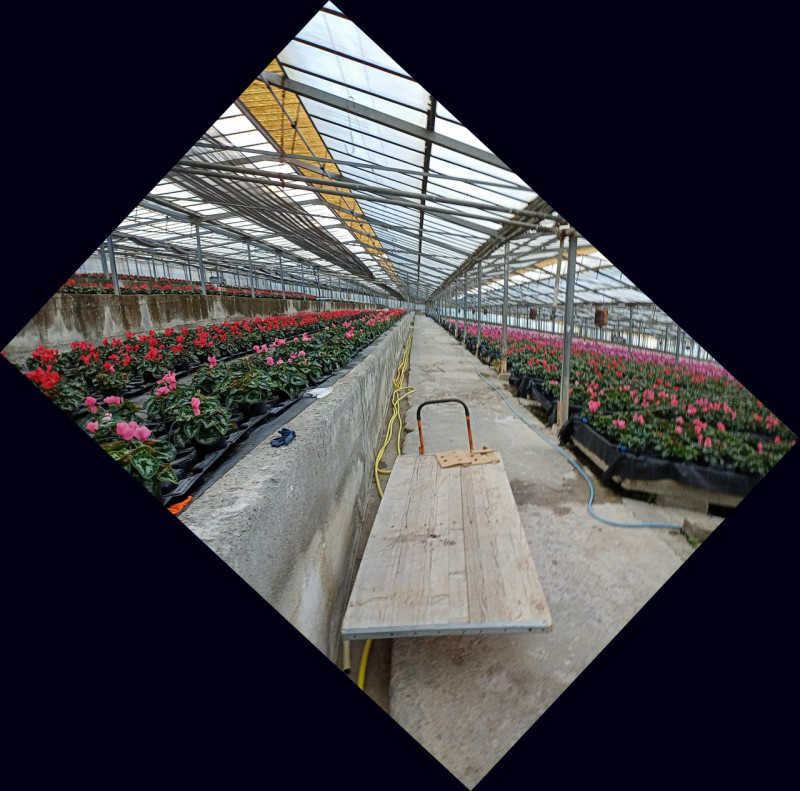 Immagine 2 di Terreno in vendita  in Via frantoi canai a San Remo