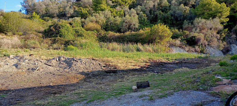 Immagine 3 di Terreno in vendita  in Via frantoi canai a San Remo