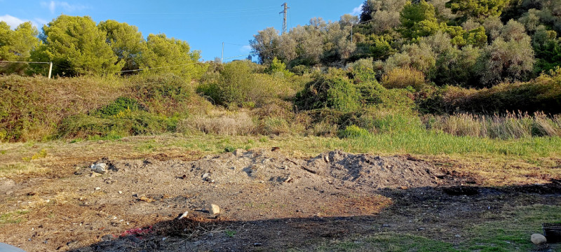 Immagine 4 di Terreno in vendita  in Via frantoi canai a San Remo