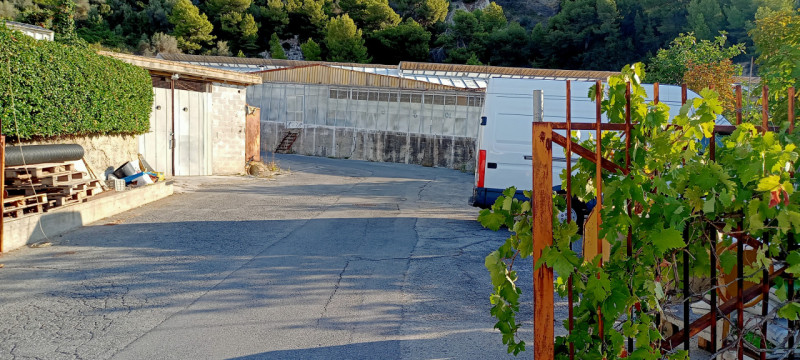 Immagine 5 di Terreno in vendita  in Via frantoi canai a San Remo