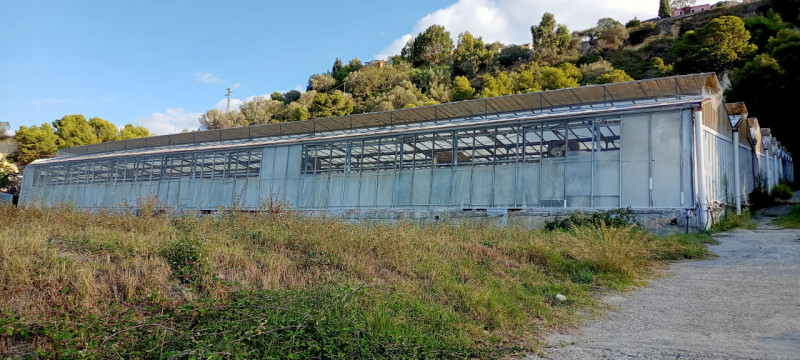 Immagine 7 di Terreno in vendita  in Via frantoi canai a San Remo