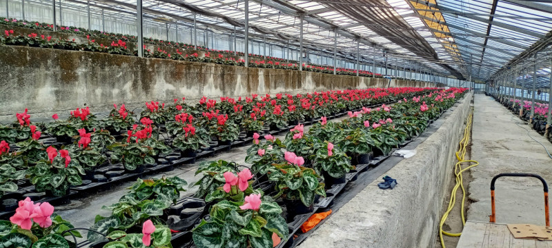 Immagine 12 di Terreno in vendita  in Via frantoi canai a San Remo