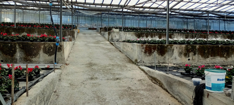 Immagine 14 di Terreno in vendita  in Via frantoi canai a San Remo