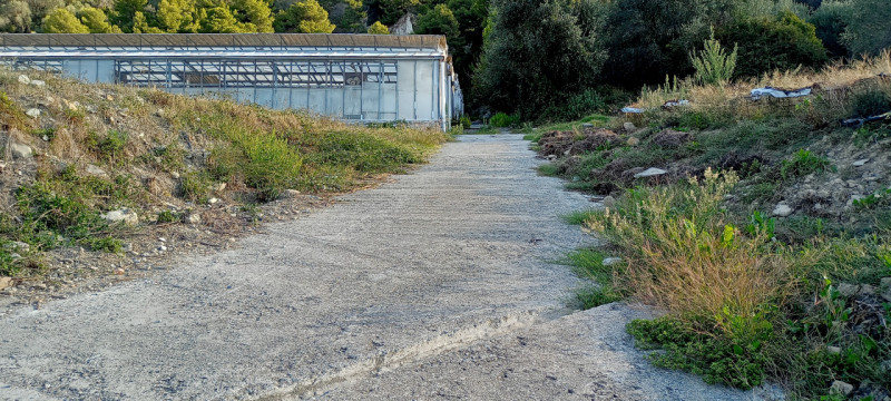 Immagine 18 di Terreno in vendita  in Via frantoi canai a San Remo