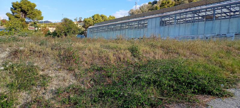 Immagine 19 di Terreno in vendita  in Via frantoi canai a San Remo
