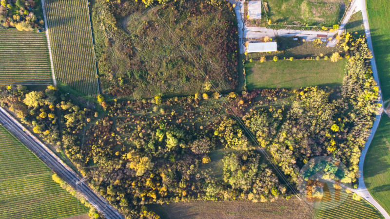 Immagine 5 di Terreno in vendita  in via Cascina Rinaldi 34 a San Giovanni Al Natisone