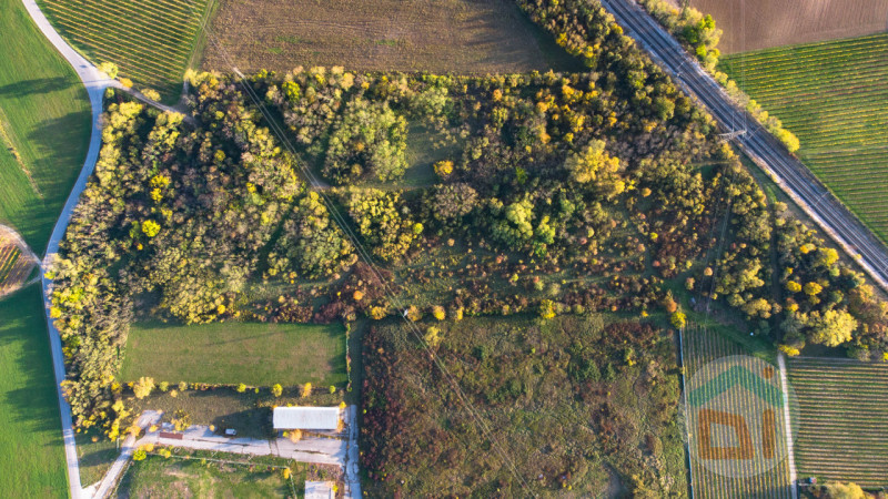 Immagine 6 di Terreno in vendita  in via Cascina Rinaldi 34 a San Giovanni Al Natisone