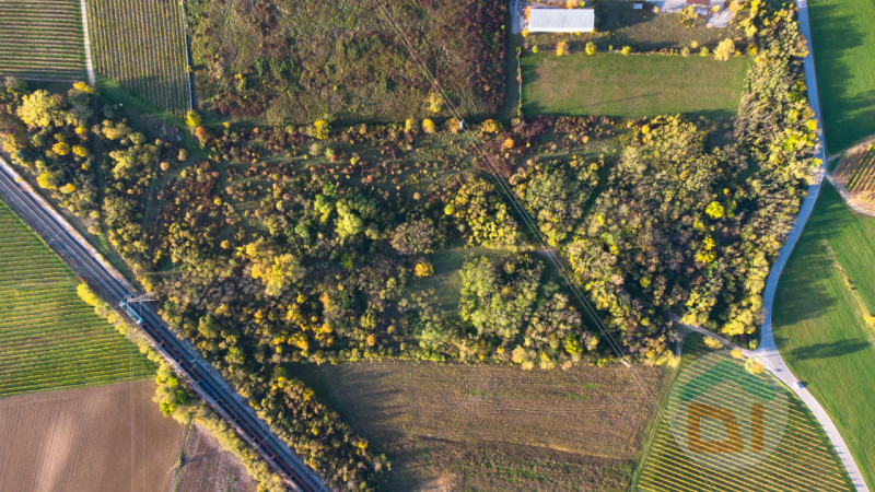Immagine 11 di Terreno in vendita  in via Cascina Rinaldi 34 a San Giovanni Al Natisone