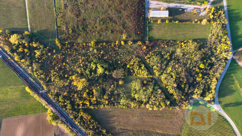 Immagine 12 di Terreno in vendita  in via Cascina Rinaldi 34 a San Giovanni Al Natisone