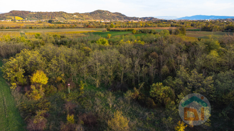 Immagine 17 di Terreno in vendita  in via Cascina Rinaldi 34 a San Giovanni Al Natisone