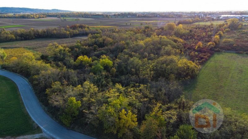 Immagine 18 di Terreno in vendita  in via Cascina Rinaldi 34 a San Giovanni Al Natisone