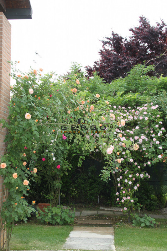 Immagine 18 di Villa in vendita  in Via Roma a San Biagio Di Callalta