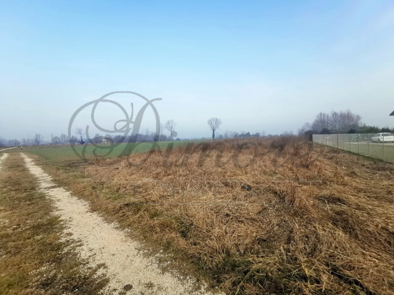 Immagine 1 di Terreno in vendita  in VIA LUIGI MARIUTTO 28 MIRANO a Mirano