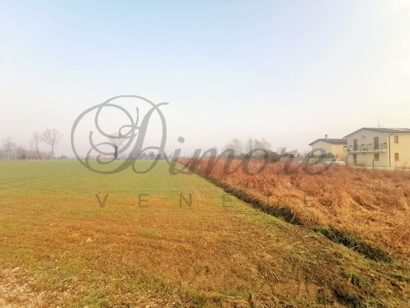 Immagine 10 di Terreno in vendita  in VIA LUIGI MARIUTTO 28 MIRANO a Mirano