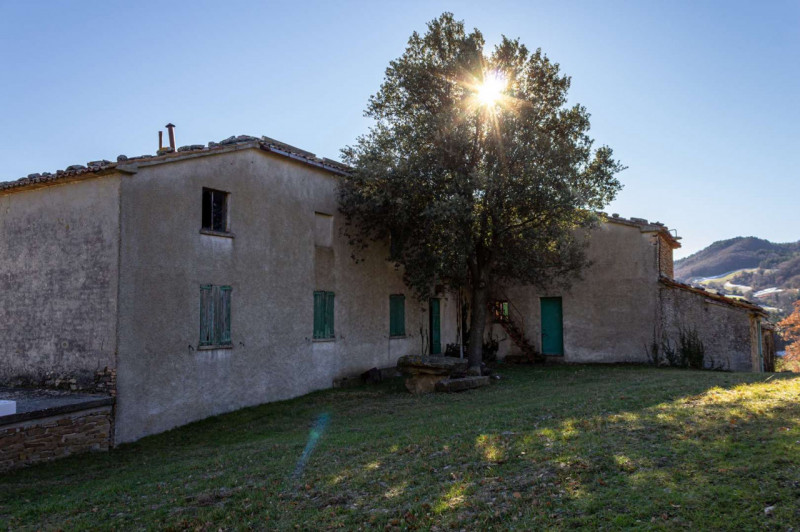 Immagine 29 di Rustico / casale in vendita  in Località Ca' Bacchio a Pietrarubbia