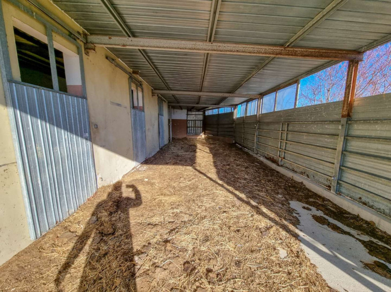 Immagine 33 di Rustico / casale in vendita  in Località Ca' Bacchio a Pietrarubbia