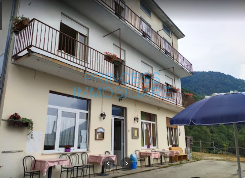 Immagine 1 di Attività commerciale in vendita  a Valli Del Pasubio