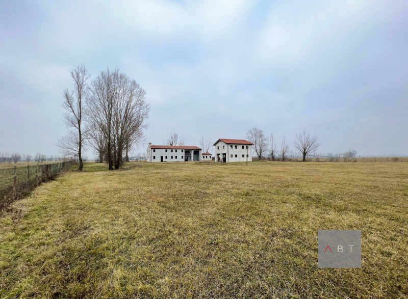 Immagine 4 di Casa indipendente in vendita  a Piazzola Sul Brenta