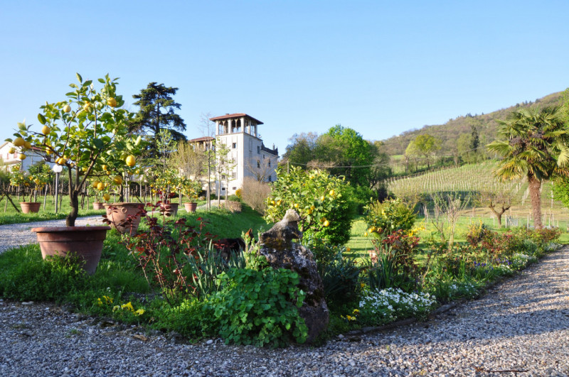 Immagine 1 di Villa in vendita  a Longare