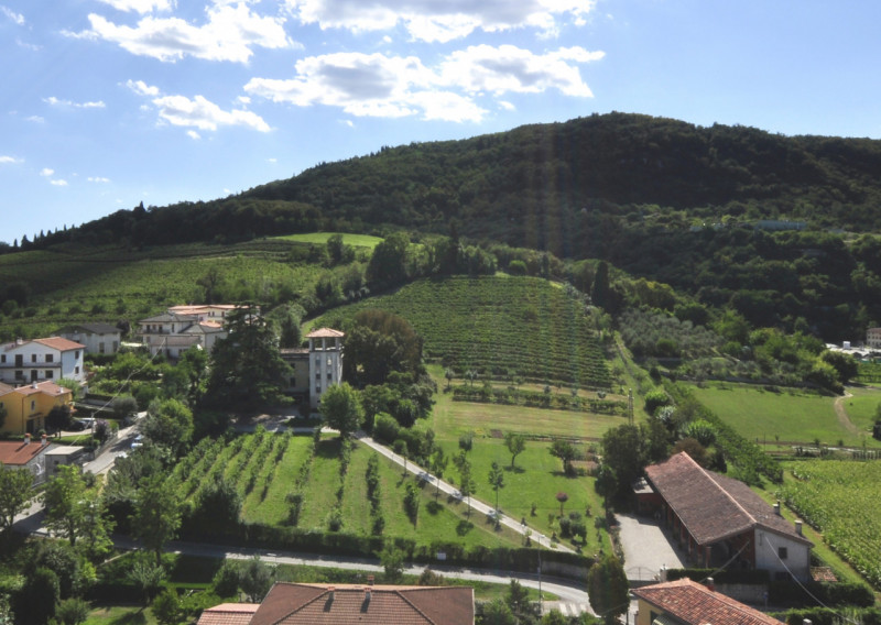 Immagine 4 di Villa in vendita  a Longare