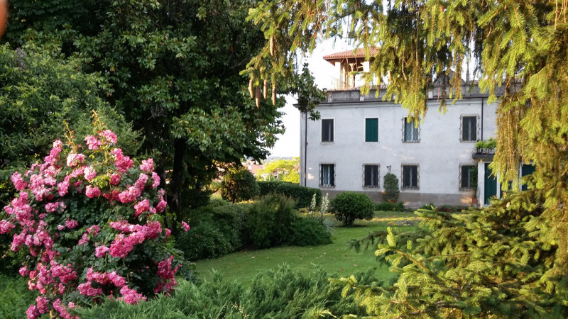 Immagine 5 di Villa in vendita  a Longare