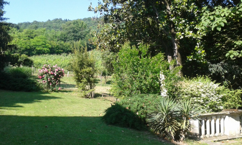 Immagine 6 di Villa in vendita  a Longare