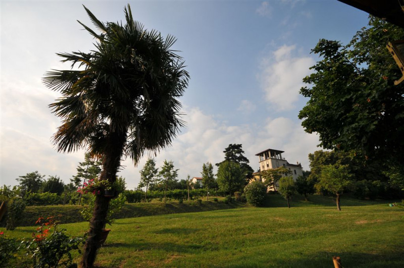 Immagine 8 di Villa in vendita  a Longare