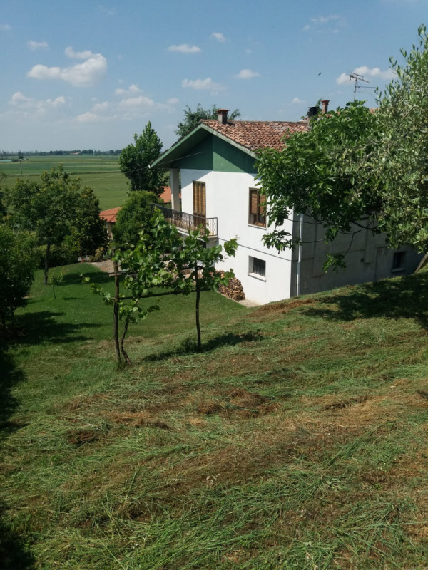 Immagine 2 di Casa indipendente in vendita  a Lozzo Atestino