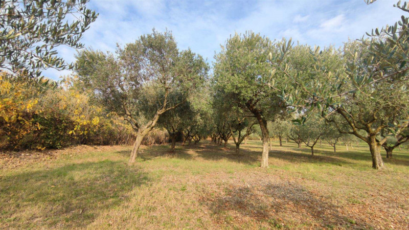 Immagine 17 di Casa indipendente in vendita  a Lozzo Atestino