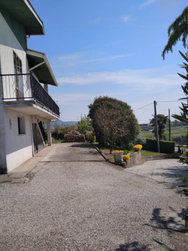 Immagine 21 di Casa indipendente in vendita  a Lozzo Atestino