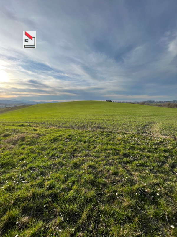 Immagine 13 di Rustico / casale in vendita  in Via San Vincenzo a Ostra